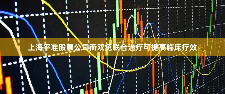上海平准股票公司而双免联合治疗可提高临床疗效