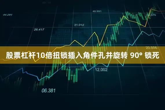 股票杠杆10倍扭锁插入角件孔并旋转 90° 锁死