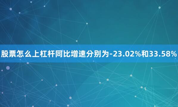 股票怎么上杠杆同比增速分别为-23.02%和33.58%