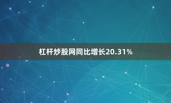 杠杆炒股网同比增长20.31%