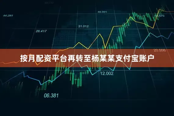 按月配资平台再转至杨某某支付宝账户