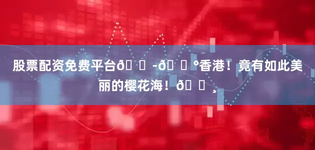 股票配资免费平台🇭🇰香港！竟有如此美丽的樱花海！🌸