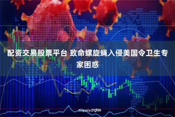 配资交易股票平台 致命螺旋蝇入侵美国令卫生专家困惑